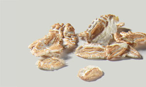 Dinkelflocken, Grossblatt 420