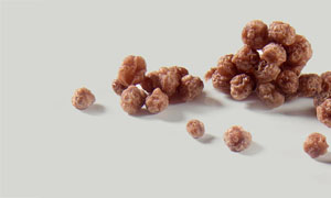 Cocoa Milk protein crispy